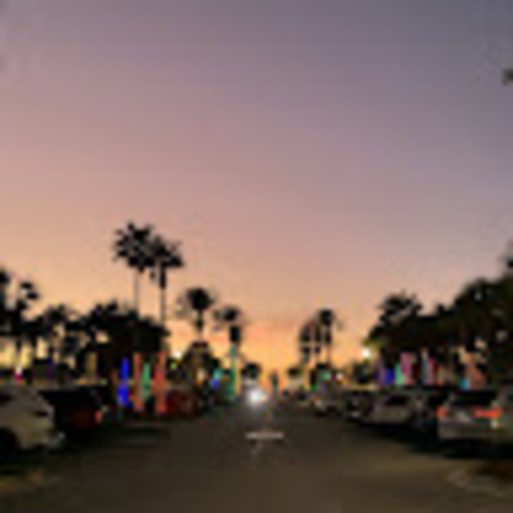 Meet your Posher, Lillian